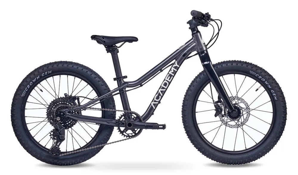 Schneller Versand ACADEMY Trail 4 (2026) | 20 Zoll Jugend-/Kinder-MTB | Space