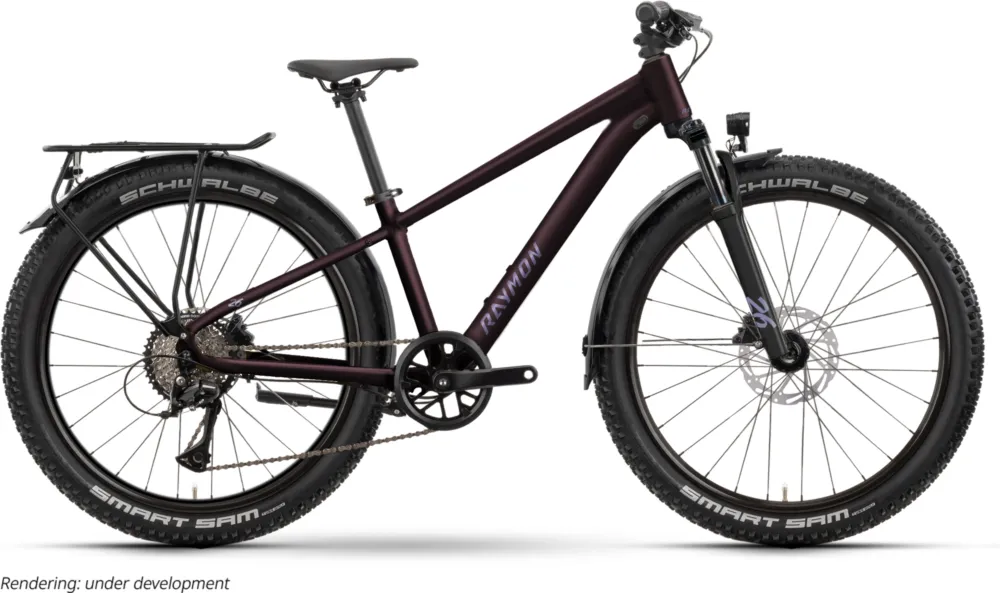 Raymon Nayta Pro Street (2026) | 26 Zoll Jugend-/Kinder-MTB | floridplum Solange Der Vorrat Reicht