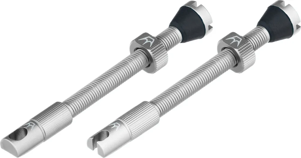 Peaty's Chris King Edition MK2 Tubeless Ventil 2er-Set - silver | SV 60 mm Kostenfreie Lieferung