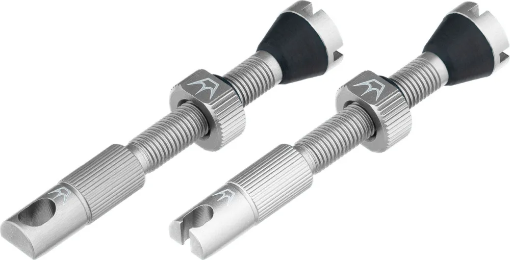 Peaty's Chris King Edition MK2 Tubeless Ventil 2er-Set - silver | SV 42 mm Rabatt