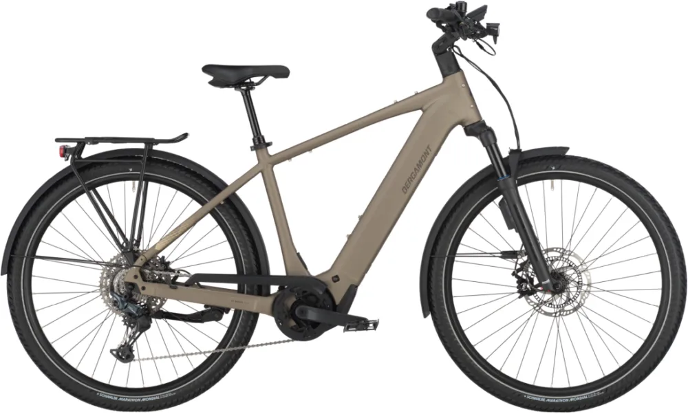 Bergamont E-Horizon SUV 10 - 800 Wh - 28 Zoll - Diamant - warm silver - Größe L Geprüft