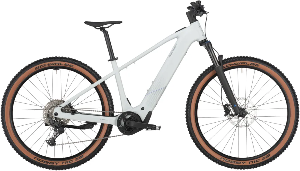 Bergamont E-Revox Sport 20 - 600 Wh - 29 Zoll - Diamant - argento white - Größe M Direktkauf