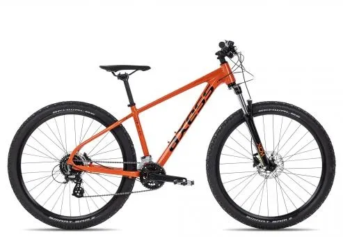Axess DEBRIS Sofort Bestellen
