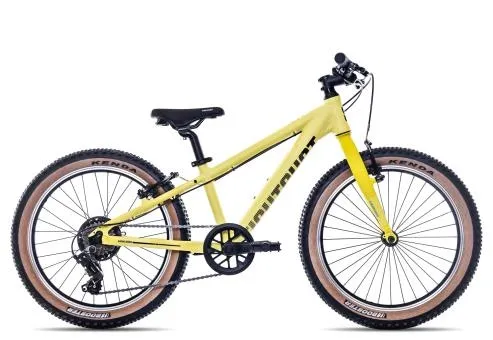 Top-Seller Eightshot COADY 20 SL 2025