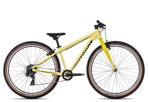 Eightshot COADY 275 SL 2025 Begrenztes Angebot