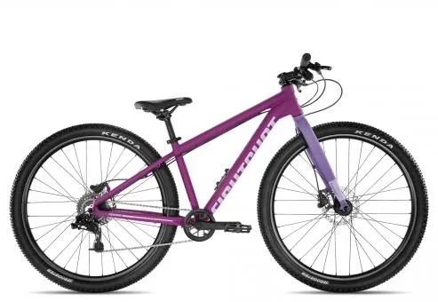 Schnäppchen Eightshot COADY 275 SL DISC 2025