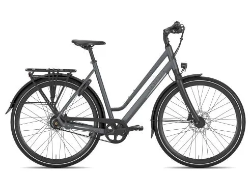 Gazelle Chamonix S11 Wave 2026 Preiswert