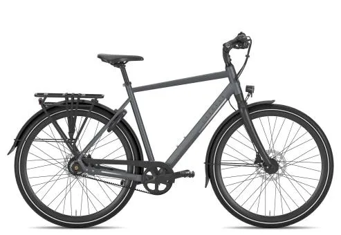 Garantierte Lieferung Gazelle Chamonix S11 2026