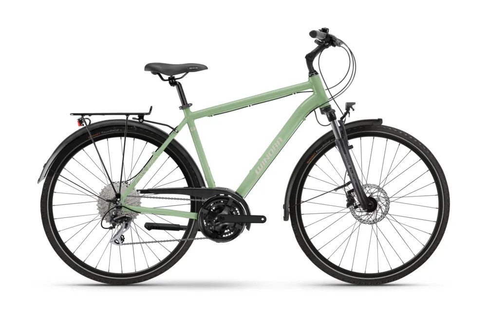Ausverkauf Winora Domingo X24 High | Cityrad | 28" | meadow mist-48cm