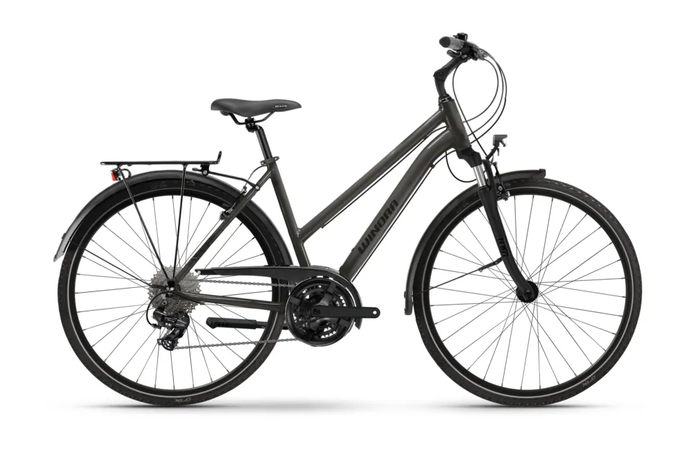 Abverkauf Winora Domingo X21 Mid | Cityrad | 28" | urban slope light-52cm