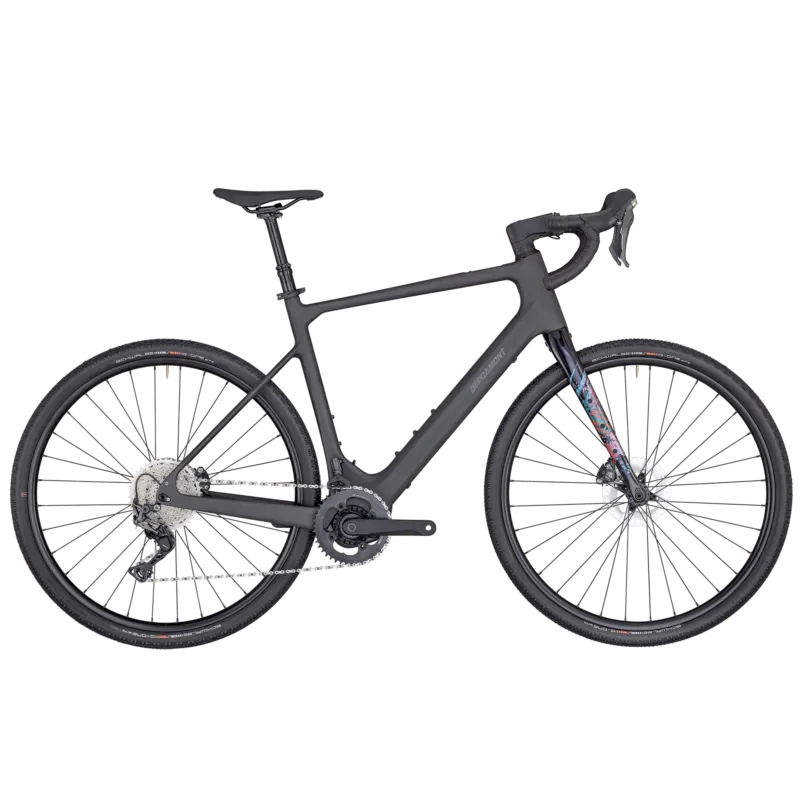 Bergamont E-Grandurance Elite | E-Rennrad | 28" | 360Wh TQ HPR50 | clearcoated raw carbon-58 cm Nur Für Kurze Zeit