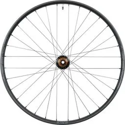 Stan's Crest MK4 29'' | Boost 15x110 mm | 6-Loch-Vorderrad Kostenfreie Lieferung