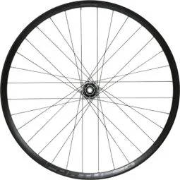 Sofort Bestellen Hope Fortus 30W Pro 5 29'' Hinterrad | Boost 12x148 mm | CenterLock | Silber