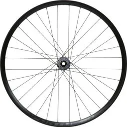 Hope Fortus 30W Pro 5 29'' | Boost 15x110 mm | 6 Loch | Silber Preisreduziert