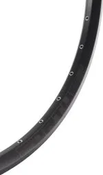 Jetzt Bestellen Felge Hope Fortus 30W SC 29'' 32 Loch Schwarz