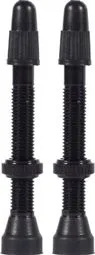 Neue Ware Paar Tubeless-Ventile WTB TCS Brass Presta Valve Schwarz