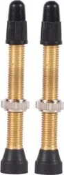 Paar Tubeless-Ventile WTB TCS Brass Presta Valve Messing Top-Preis